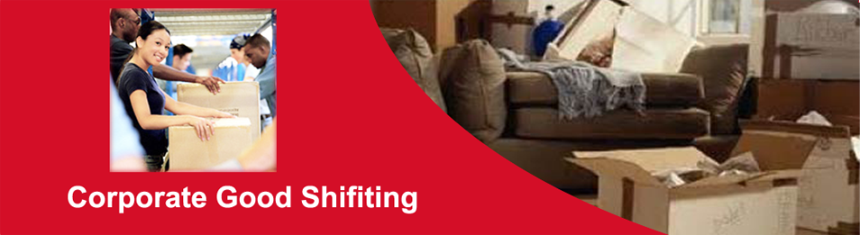 professional Safe Movers and Packers