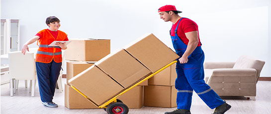 Shree Durga Movers and Packers